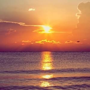 Meet your Posher, Sierra